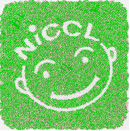 NiCCL13-iloveimg-converted